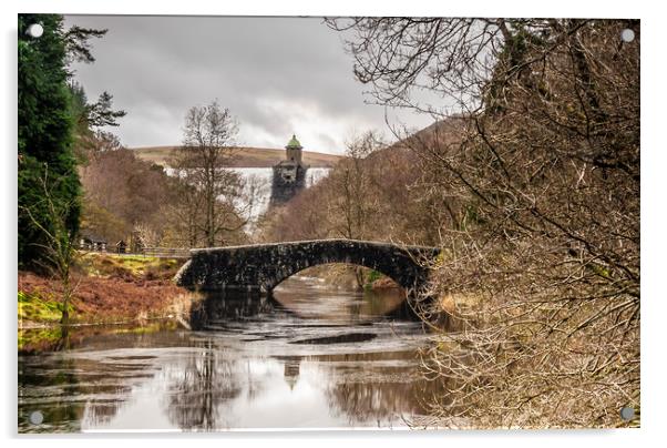 Pen y garreg Dam Elan Valley Acrylic by Robin Lee