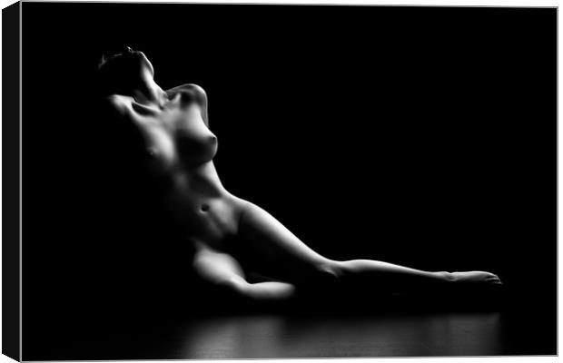 Nude woman bodyscape Canvas Print by Johan Swanepoel