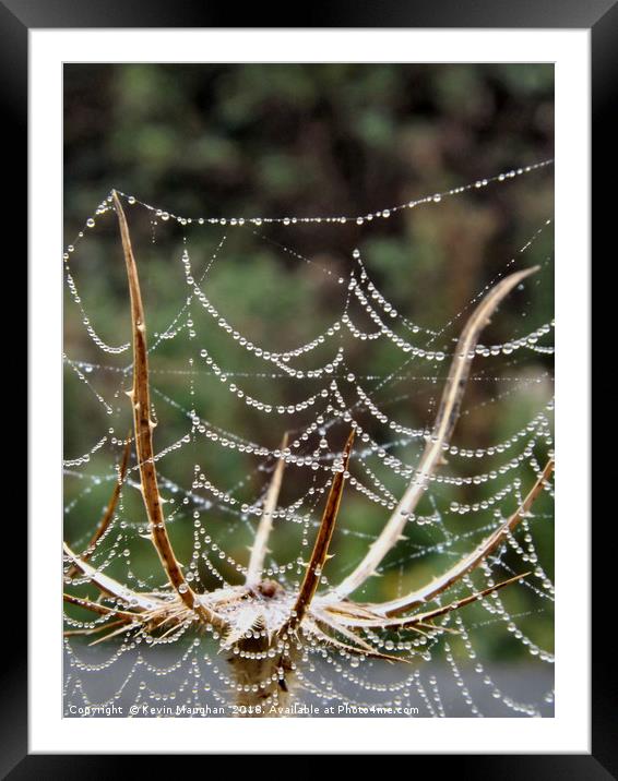 Spiders Web Framed Mounted Print by Kevin Maughan