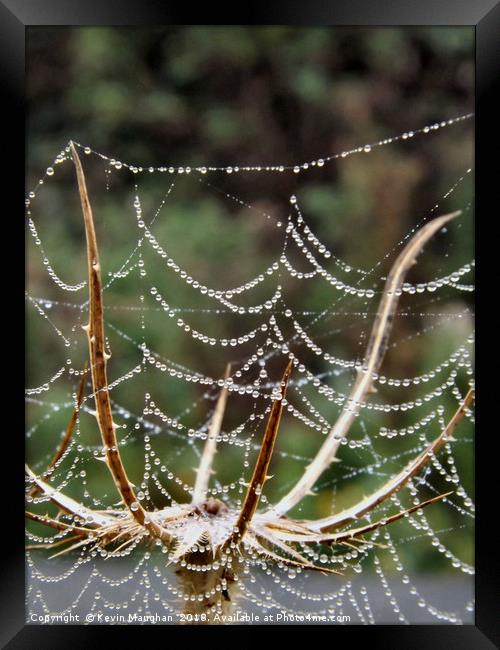 Spiders Web Framed Print by Kevin Maughan