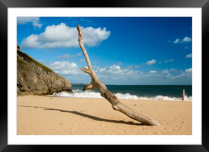 Barafundle Bay - Driftwood on the Shore. Framed Mounted Print by Colin Allen