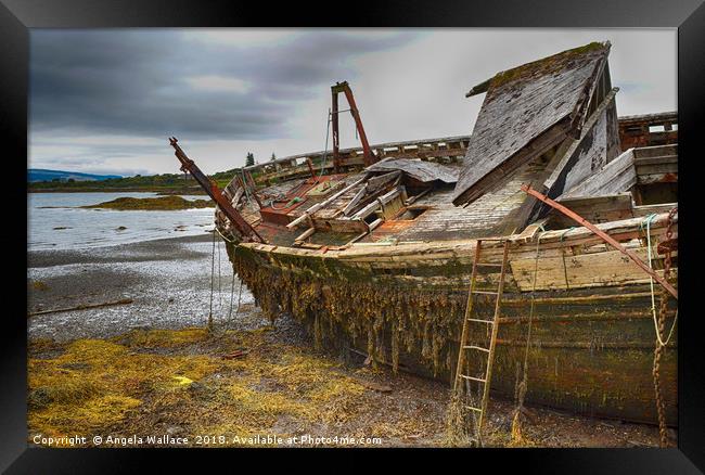 Abandoned  the Boat               Framed Print by Angela Wallace