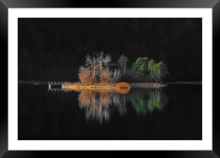 Autumn colored trees surrounded by darkness Framed Mounted Print by Daniela Simona Temneanu