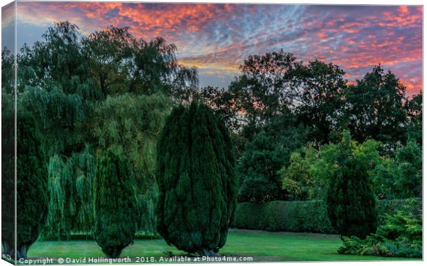 Garden Sunset Canvas Print by David Hollingworth