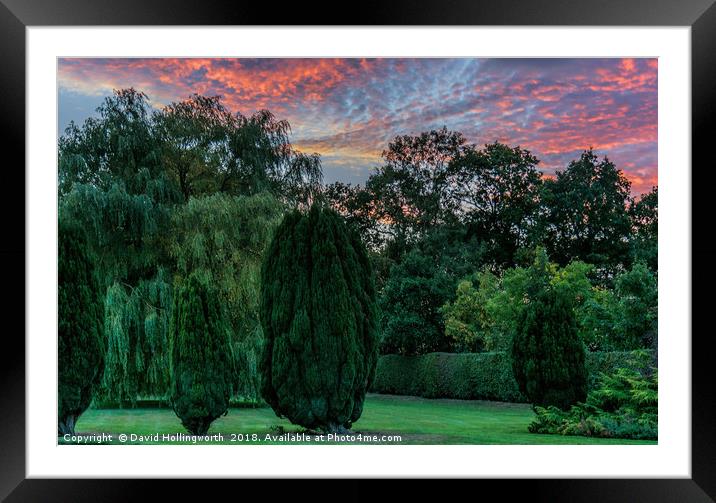 Garden Sunset Framed Mounted Print by David Hollingworth