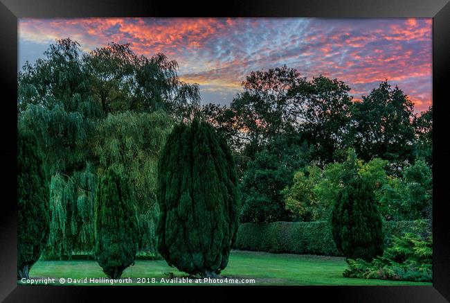Garden Sunset Framed Print by David Hollingworth