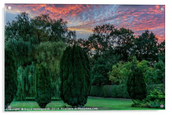 Garden Sunset Acrylic by David Hollingworth