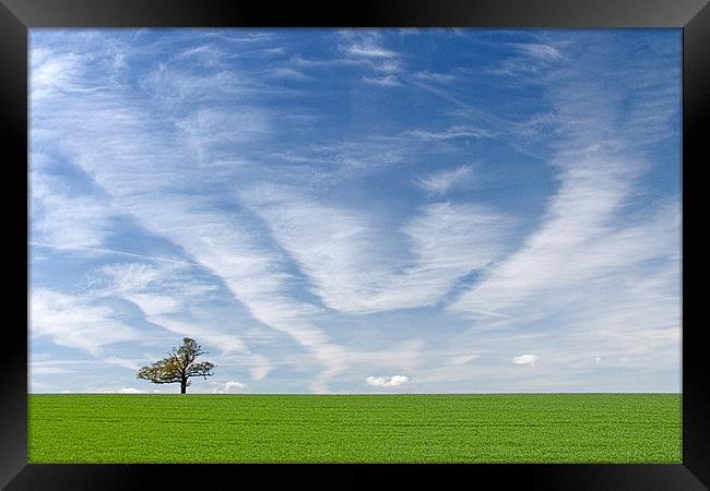 Solitude Standing Framed Print by Andrew Scoggins