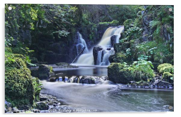 Linn Jaw Waterfall  Acrylic by Lady Debra Bowers L.R.P.S