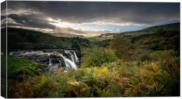 The Loup o Fintry in the Campsie Fells Canvas Print by George Robertson