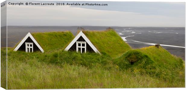 Ancient houses with Grass roof in Iceland Canvas Print by Florent Lacroute
