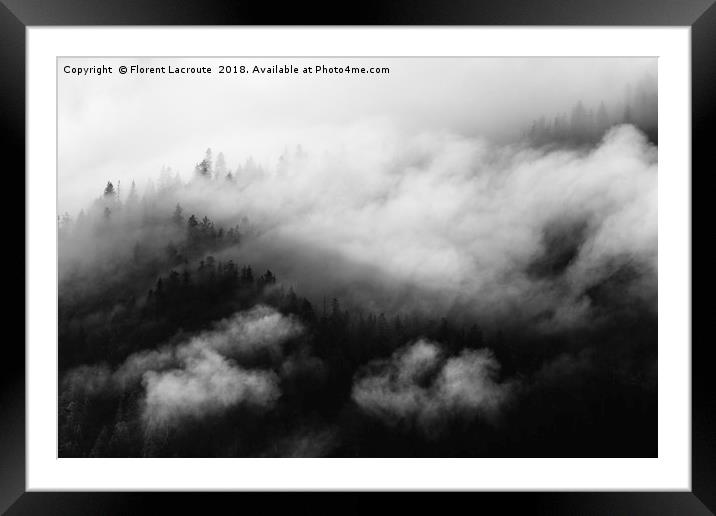 Pine trees covered in mist, black and white Framed Mounted Print by Florent Lacroute