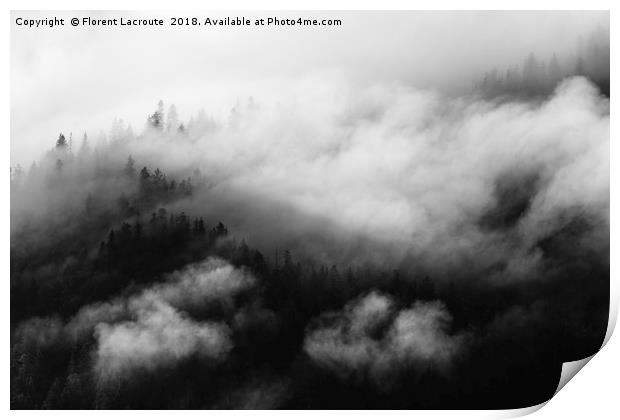 Pine trees covered in mist, black and white Print by Florent Lacroute
