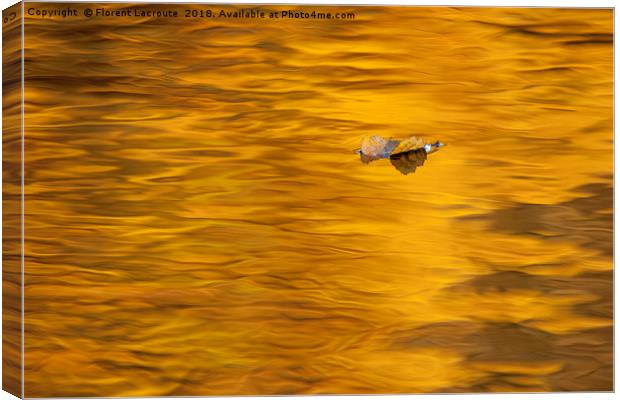 Fallen orange leave on orange water Canvas Print by Florent Lacroute