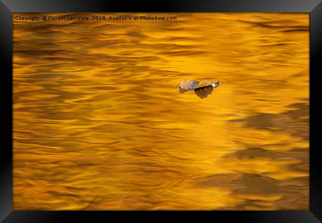 Fallen orange leave on orange water Framed Print by Florent Lacroute