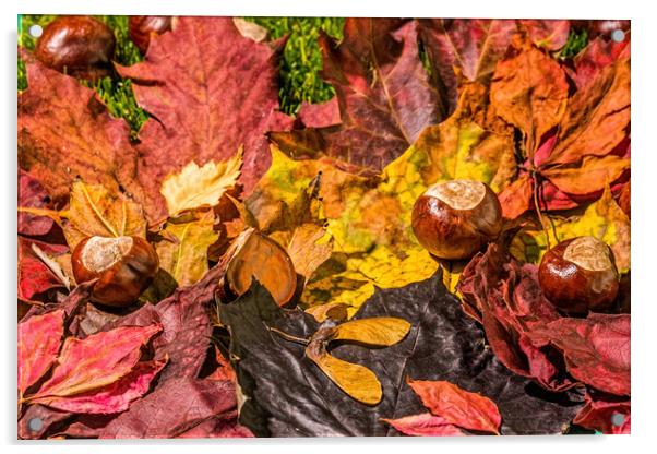 The United Colours Of Autumn Acrylic by Steve Purnell