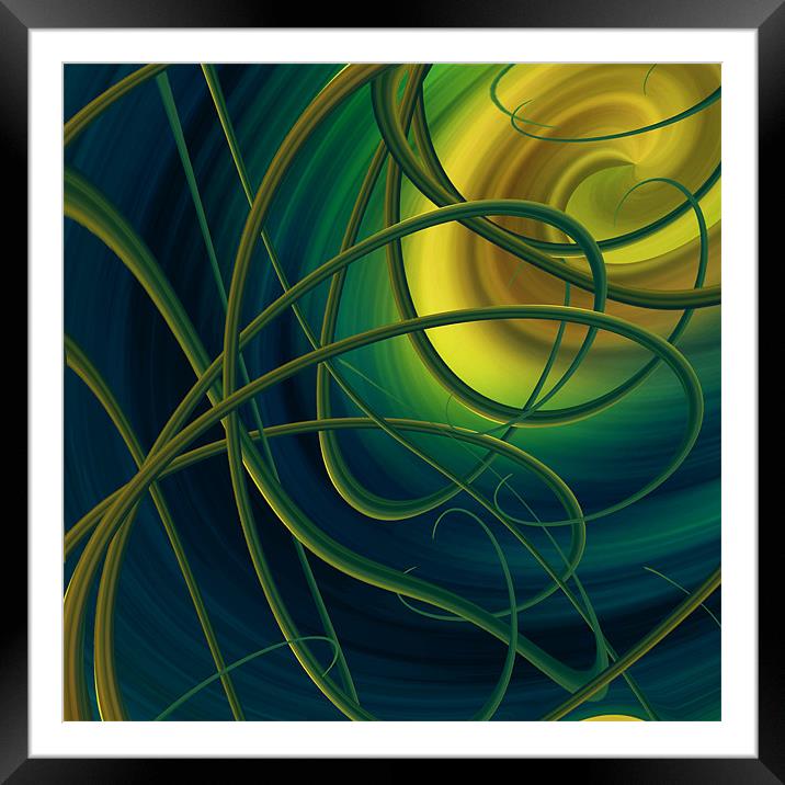 tangled Framed Mounted Print by Heather Newton