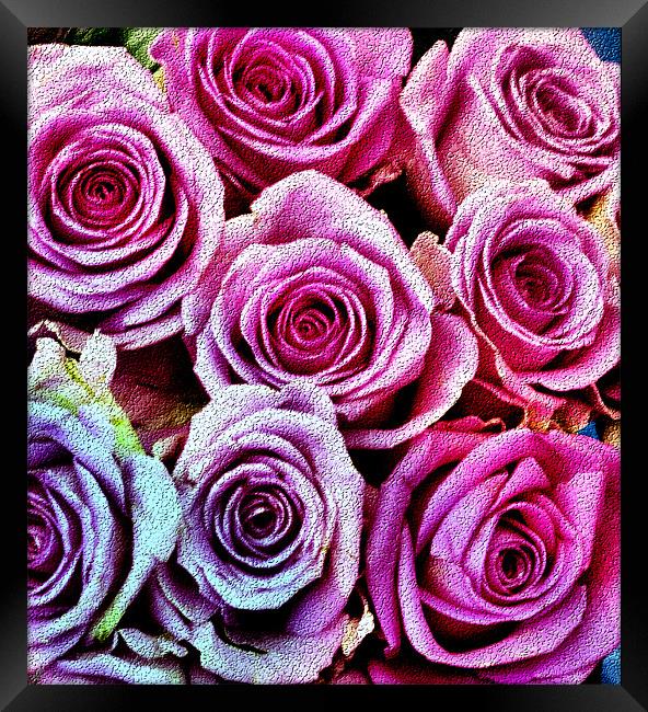 Roses for you Framed Print by Lauren Meyerink