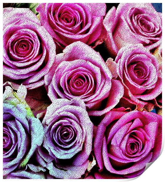 Roses for you Print by Lauren Meyerink