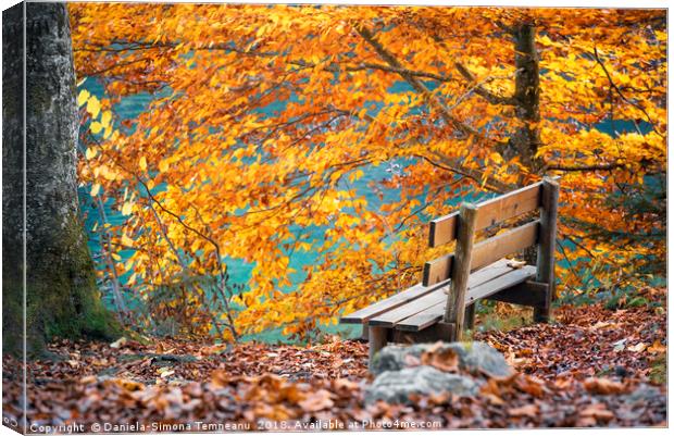 Wooden bench in autumn scenery Canvas Print by Daniela Simona Temneanu