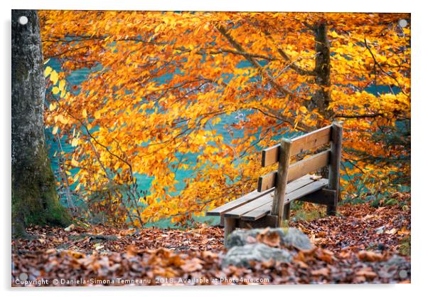 Wooden bench in autumn scenery Acrylic by Daniela Simona Temneanu