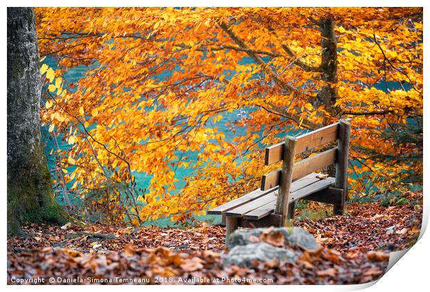 Wooden bench in autumn scenery Print by Daniela Simona Temneanu