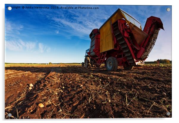 Potato Harvester On The Autumn Fields Acrylic by Jukka Heinovirta