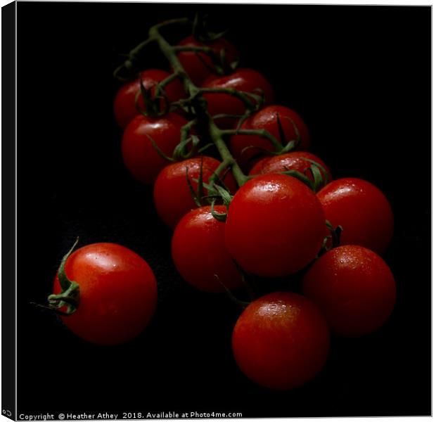 Cherry tomatoes 1 Canvas Print by Heather Athey