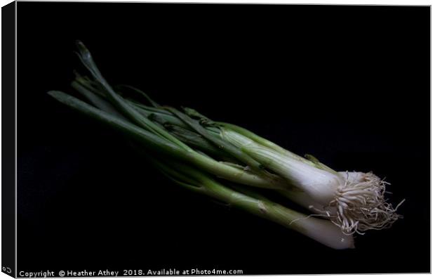 Spring onion Canvas Print by Heather Athey