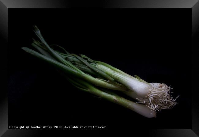 Spring onion Framed Print by Heather Athey