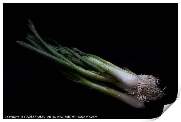 Spring onion Print by Heather Athey