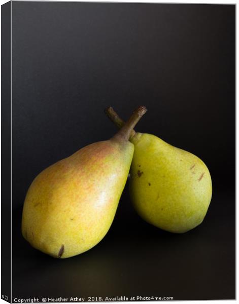 A pair of pears Canvas Print by Heather Athey