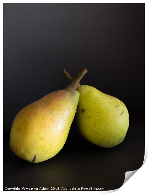 A pair of pears Print by Heather Athey