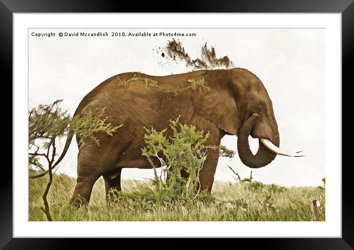 Elephant Earth Dousing Framed Mounted Print by David Mccandlish