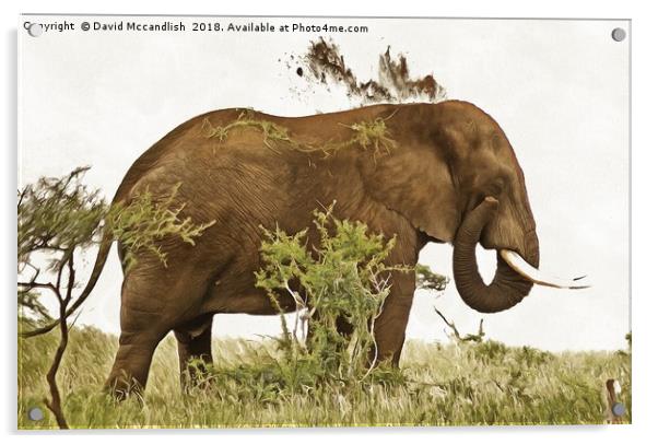 Elephant Earth Dousing Acrylic by David Mccandlish
