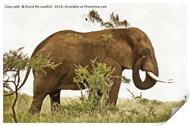 Elephant Earth Dousing Print by David Mccandlish