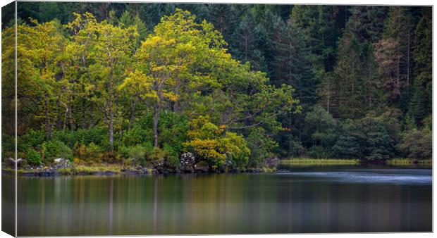 Reflections of Autumn trees in Loch Chon Canvas Print by George Robertson