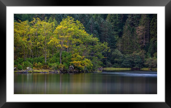 Reflections of Autumn trees in Loch Chon Framed Mounted Print by George Robertson