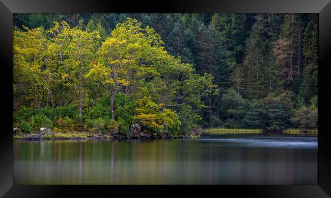 Reflections of Autumn trees in Loch Chon Framed Print by George Robertson
