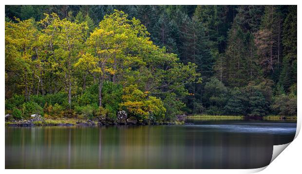 Reflections of Autumn trees in Loch Chon Print by George Robertson