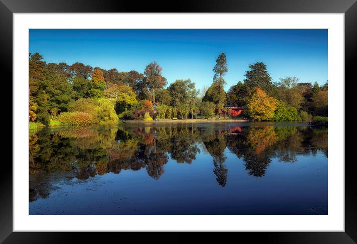 Brynmill Park reflections Framed Mounted Print by Leighton Collins