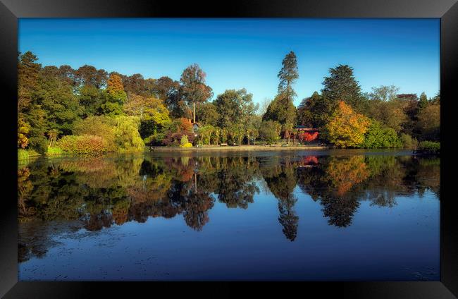 Brynmill Park reflections Framed Print by Leighton Collins