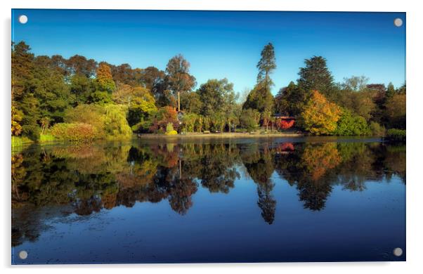 Brynmill Park reflections Acrylic by Leighton Collins