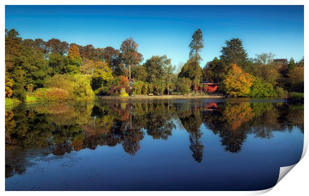 Brynmill Park reflections Print by Leighton Collins