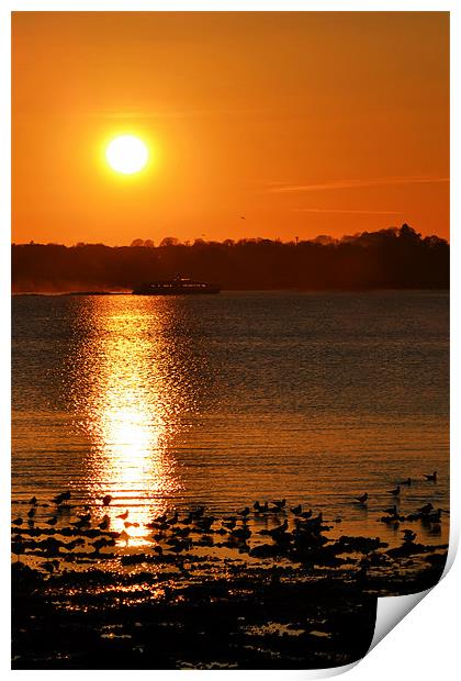 Hydrofoil Sunset Print by Donna Collett