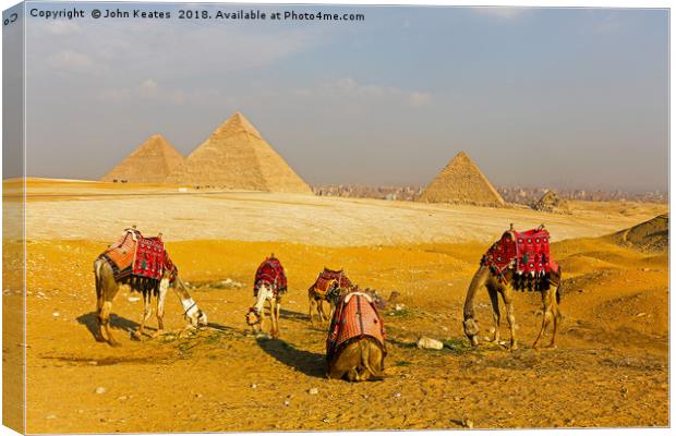 Camels in front of the Pyramids, Giza, Egypt Canvas Print by John Keates