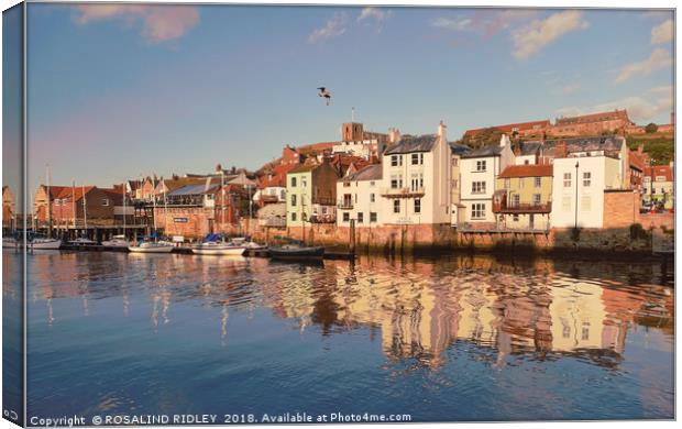 "Evening light Whitby " Canvas Print by ROS RIDLEY