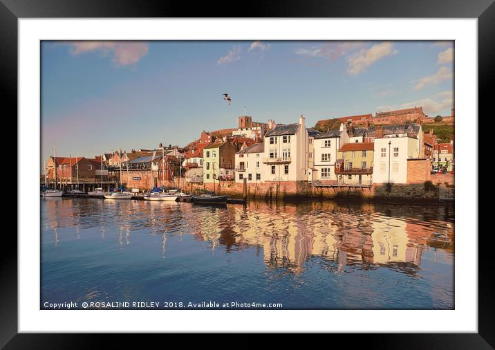 "Evening light Whitby " Framed Mounted Print by ROS RIDLEY