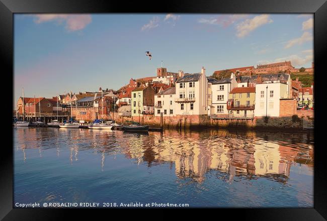 "Evening light Whitby " Framed Print by ROS RIDLEY
