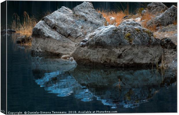 Rocks and dried grass reflected in water Canvas Print by Daniela Simona Temneanu